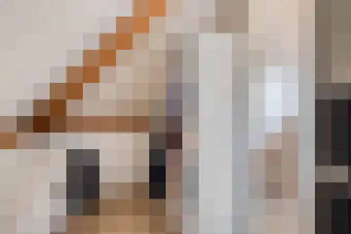Smientstraat 6 Goor thumbnail 34