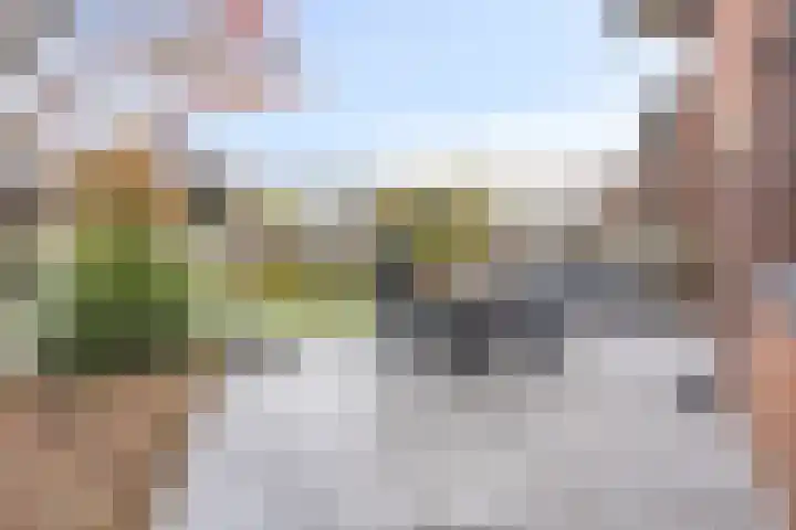Smientstraat 6 Goor thumbnail 35