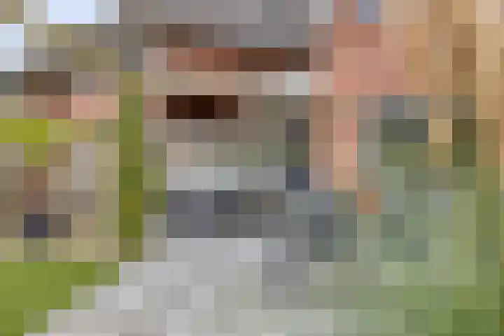 Smientstraat 6 Goor thumbnail 37