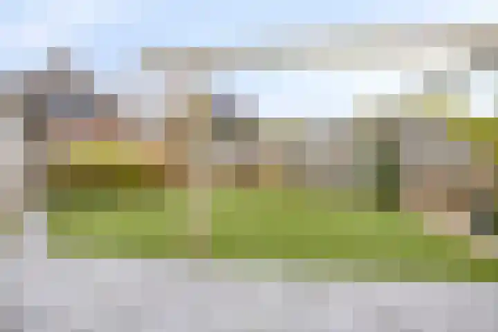 Smientstraat 6 Goor thumbnail 40