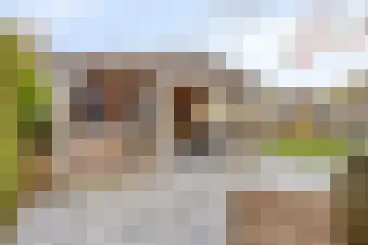 Smientstraat 6 Goor thumbnail 42