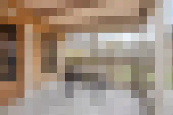 Smientstraat 6 Goor thumbnail 43