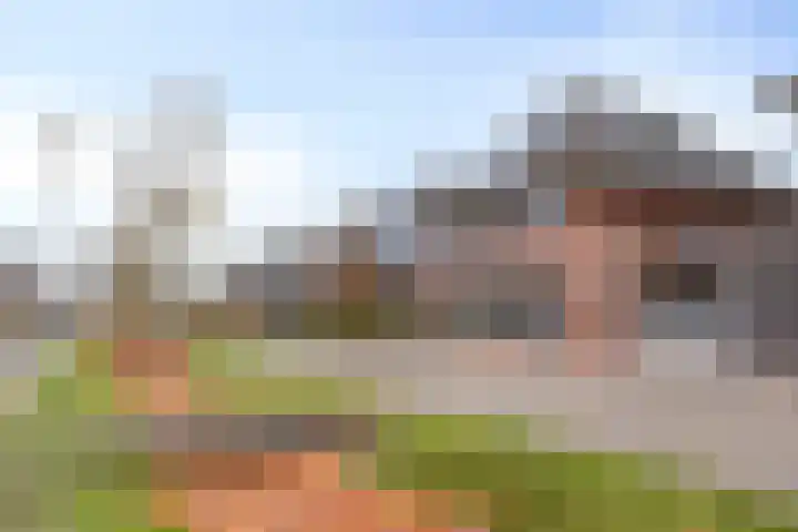 Smientstraat 6 Goor thumbnail 45