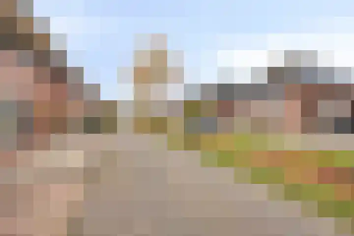Smientstraat 6 Goor thumbnail 46
