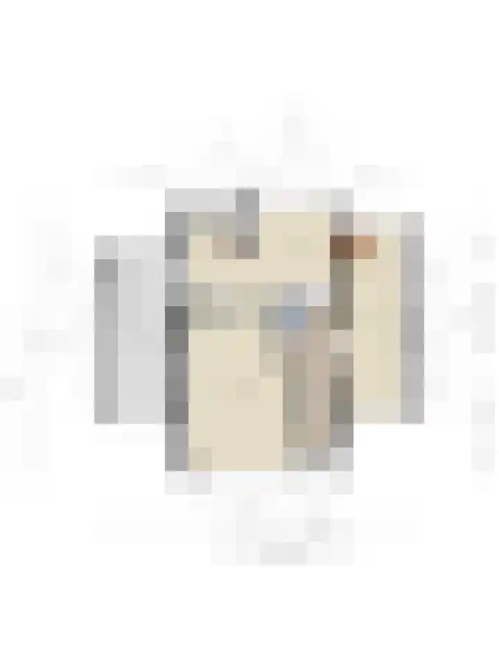 Smientstraat 6 Goor thumbnail 47
