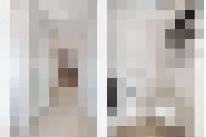 Smientstraat 6 Goor thumbnail 6