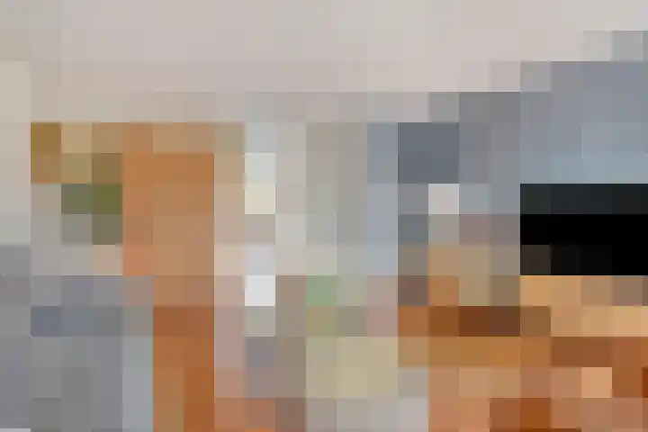 Smientstraat 6 Goor thumbnail 8