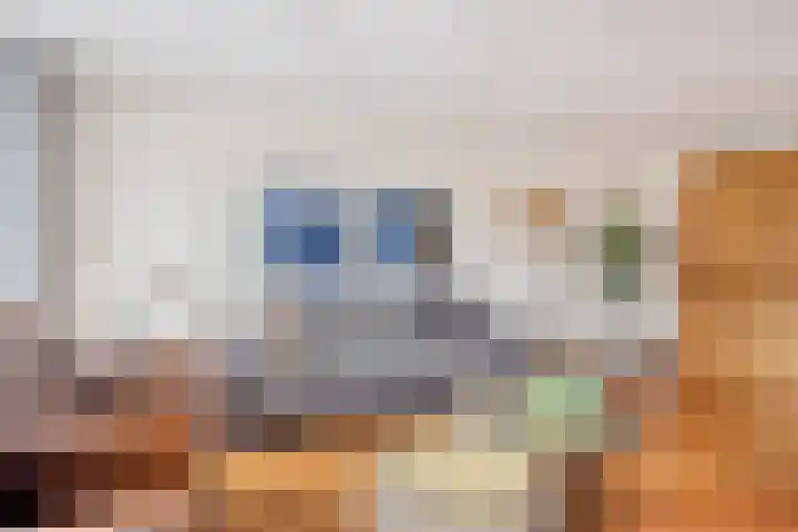 Smientstraat 6 Goor thumbnail 9