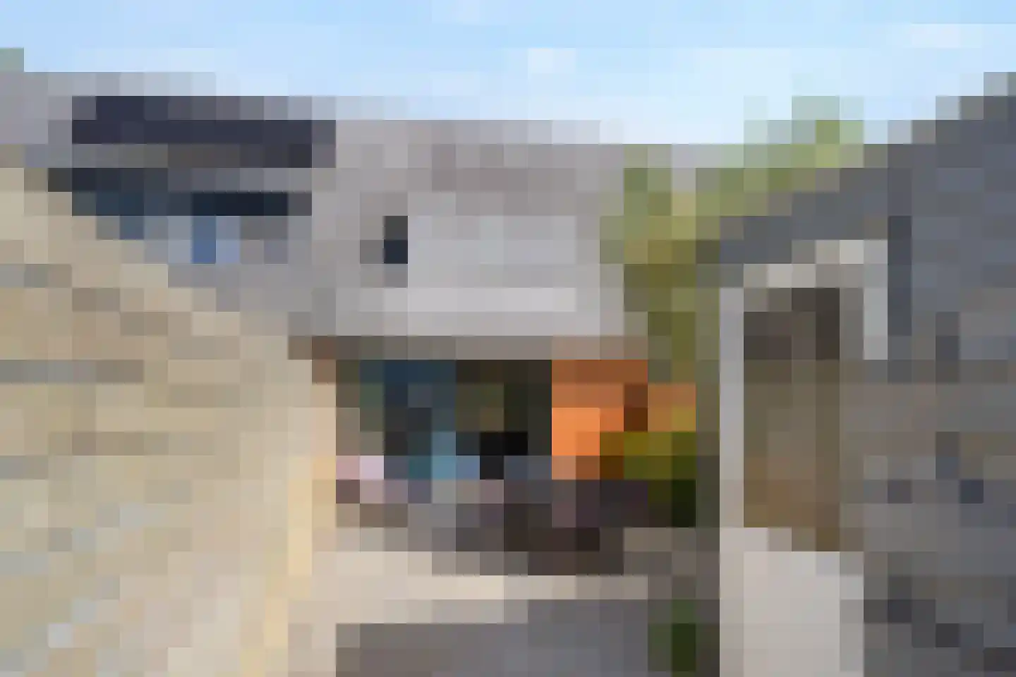 Smientstraat 61 Den Haag thumbnail 27