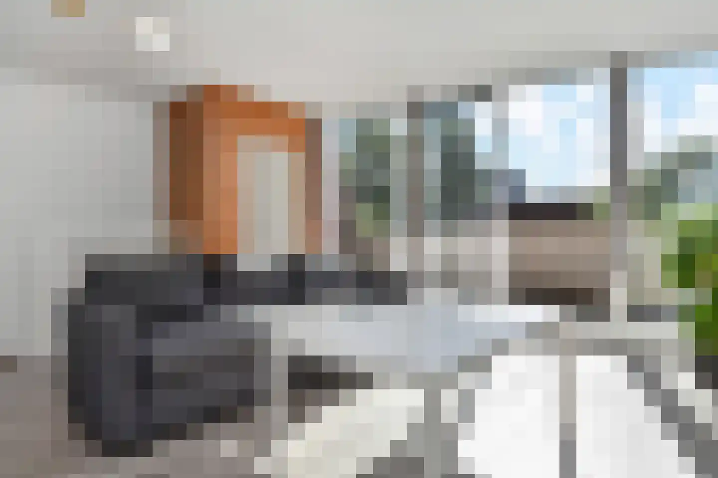 Smientstraat 61 Den Haag thumbnail 45