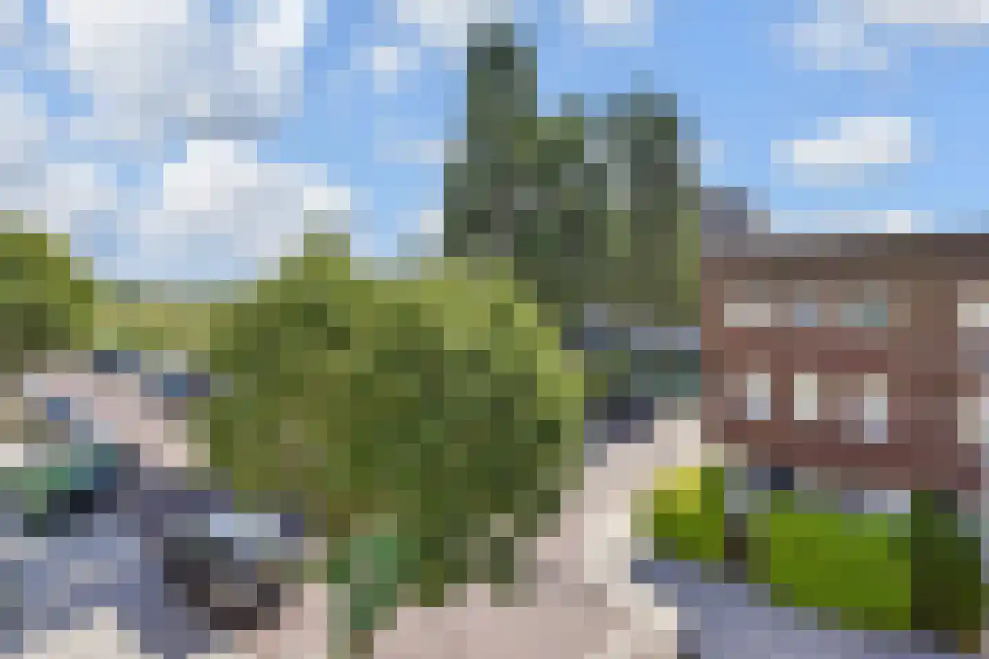 Smientstraat 61 Den Haag thumbnail 51