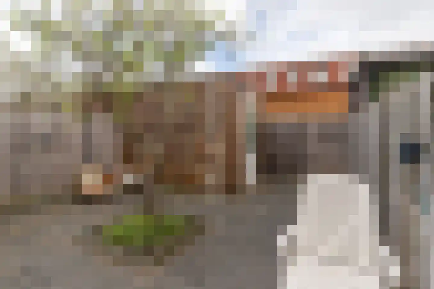 Smildestraat 9 Den Haag thumbnail 13
