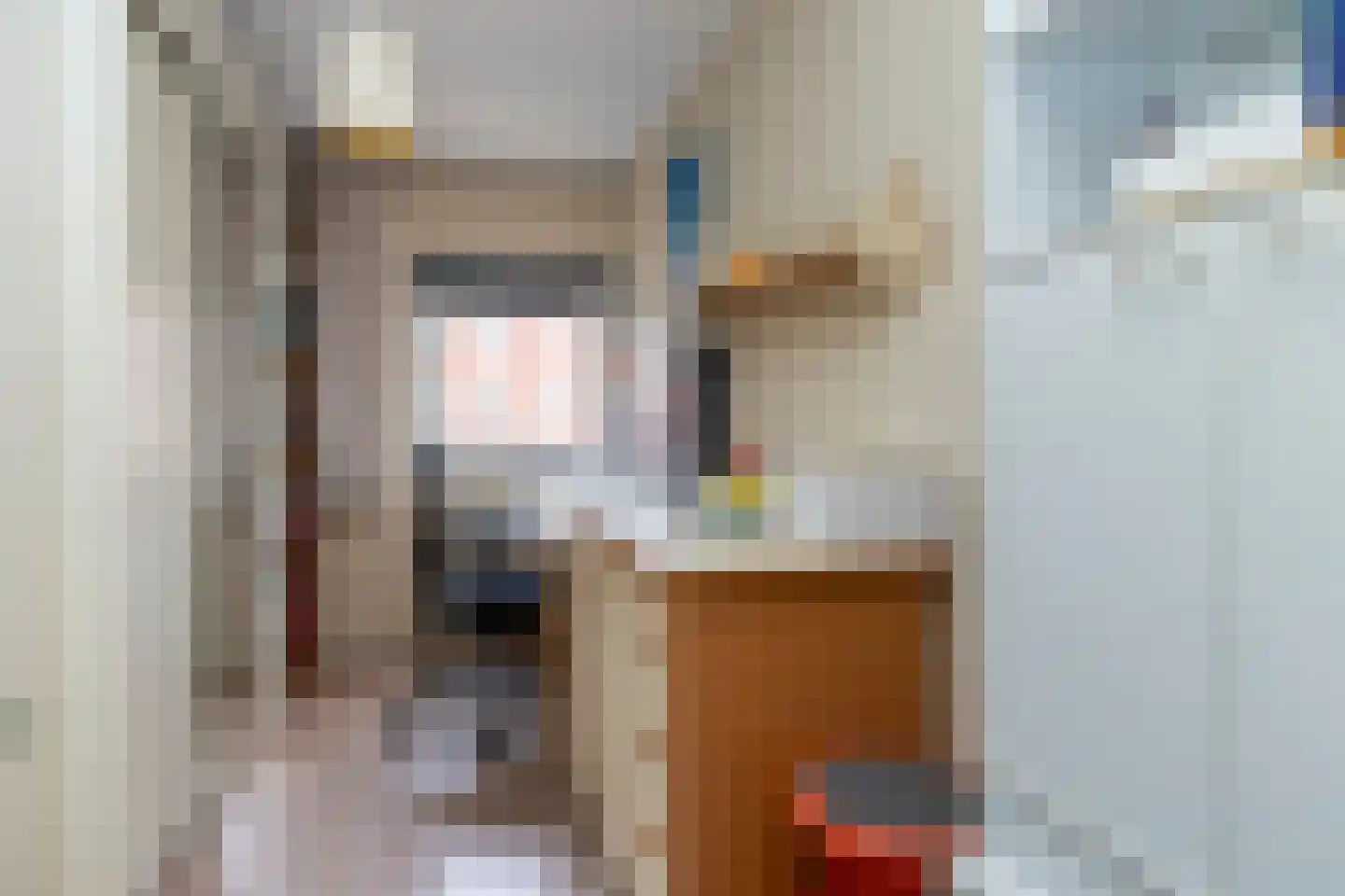 Smildestraat 9 Den Haag thumbnail 17