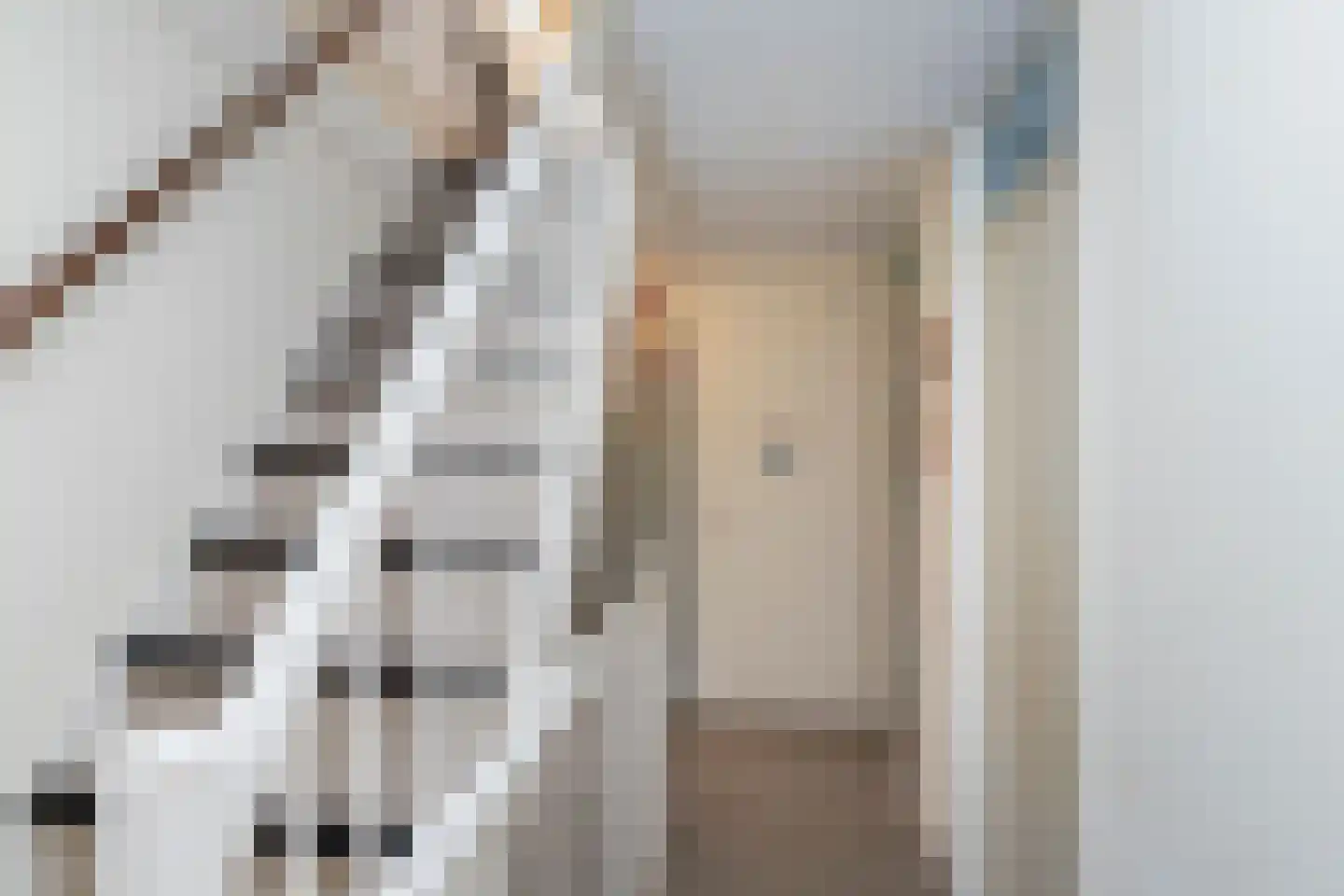 Smildestraat 9 Den Haag thumbnail 21