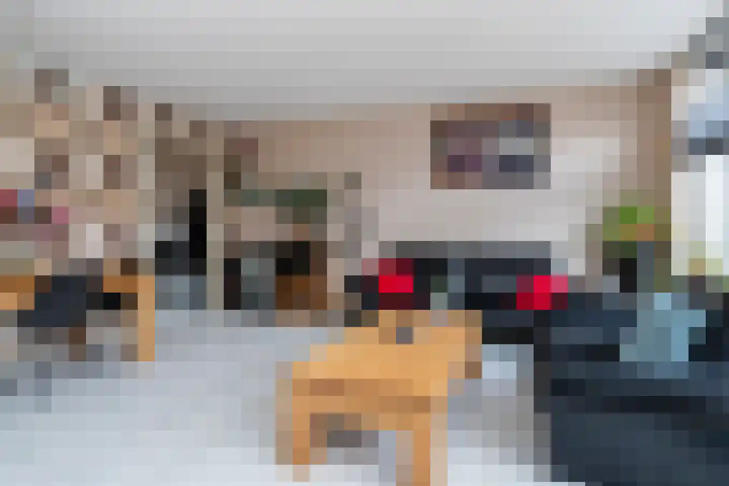 Smildestraat 9 Den Haag thumbnail 9