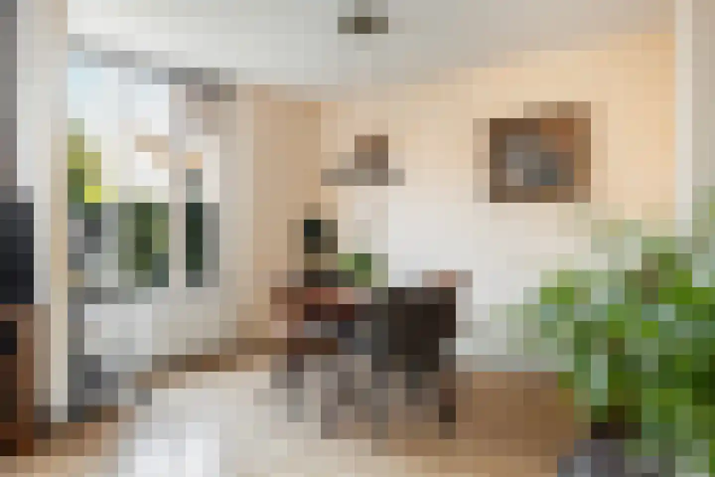 Sminiastate 2 Leeuwarden thumbnail 16