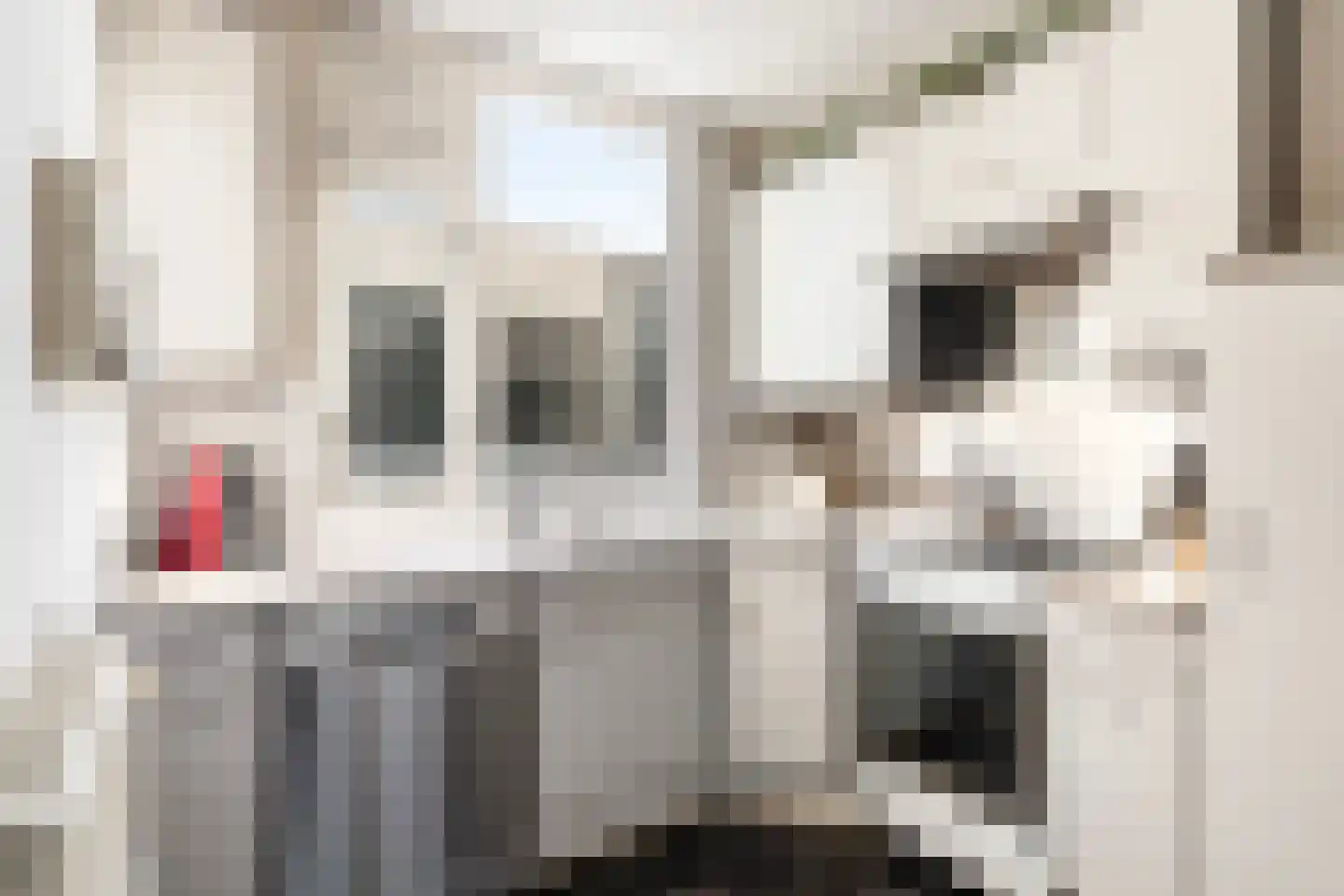 Sminiastate 2 Leeuwarden thumbnail 21