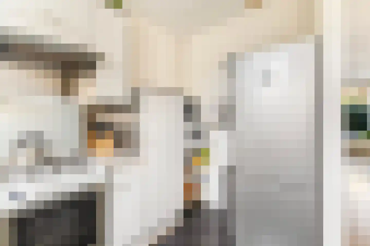 Sminiastate 2 Leeuwarden thumbnail 22