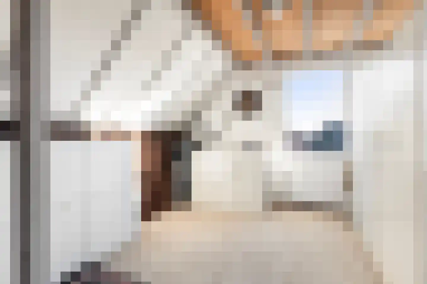 Sminiastate 2 Leeuwarden thumbnail 35