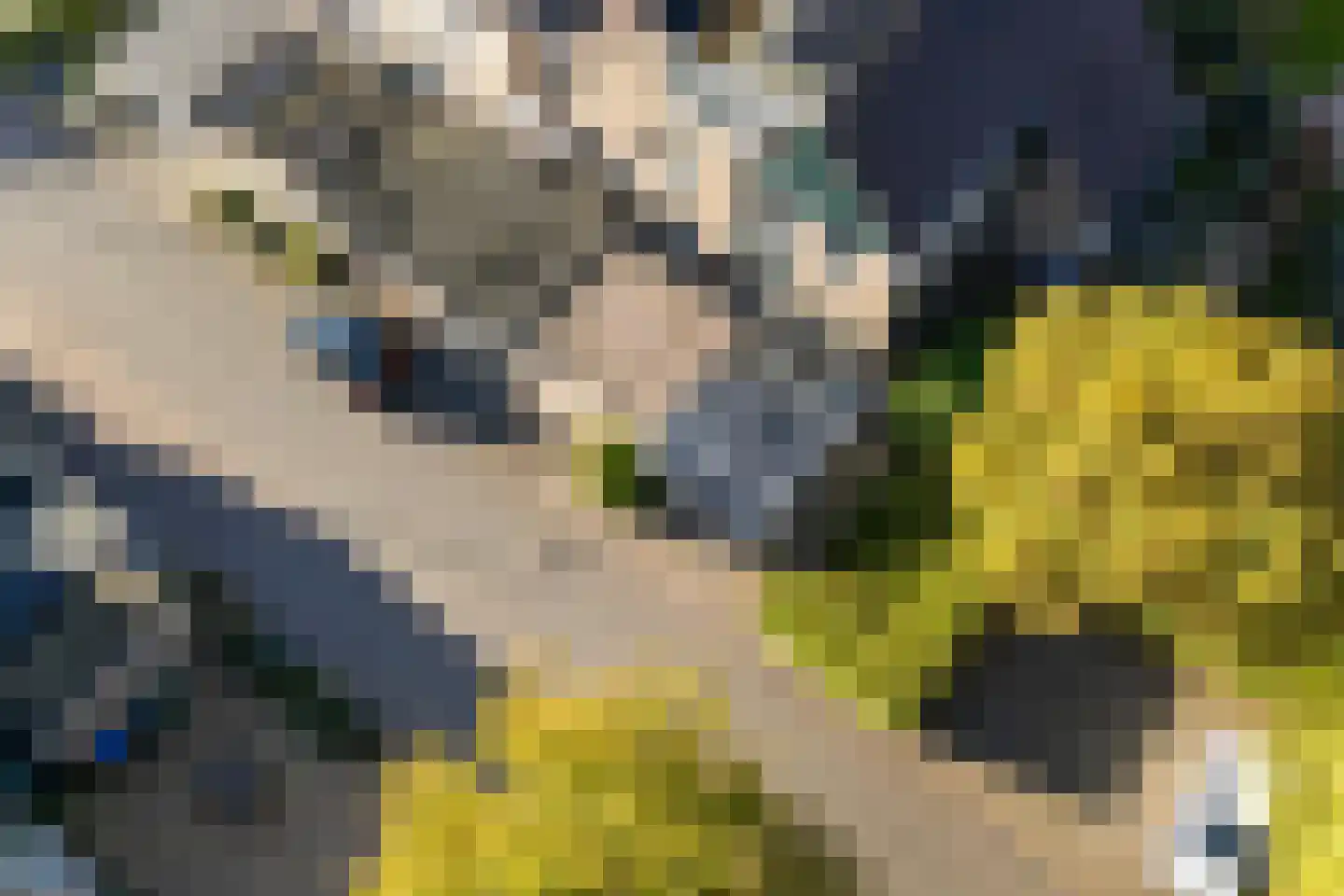 Sminiastate 2 Leeuwarden thumbnail 4