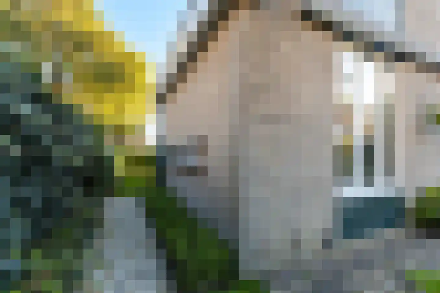 Sminiastate 2 Leeuwarden thumbnail 44