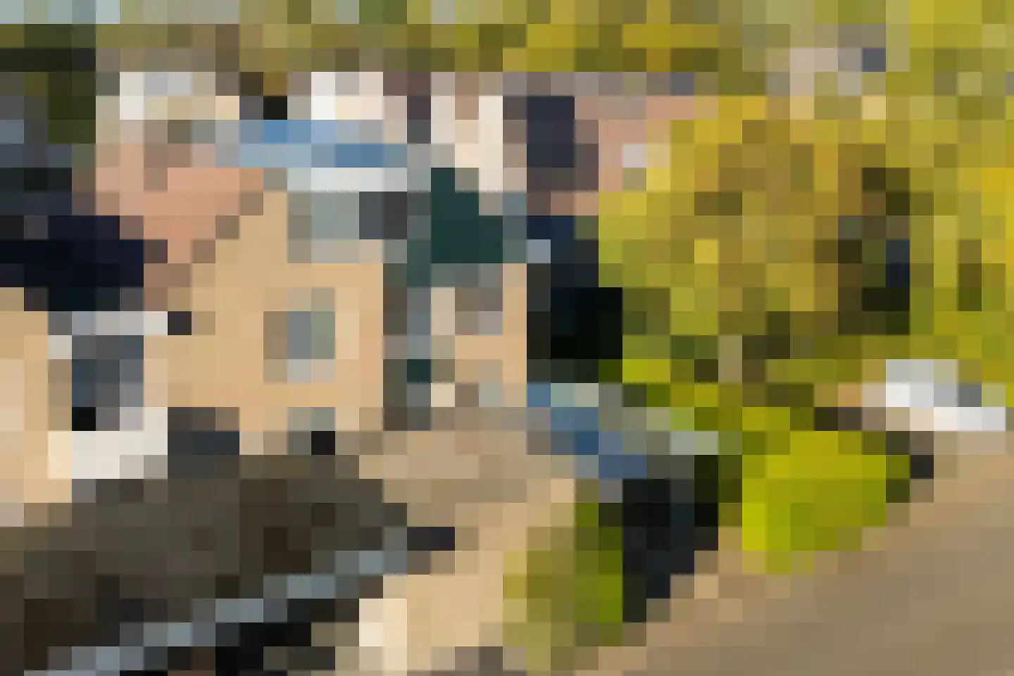 Sminiastate 2 Leeuwarden thumbnail 5
