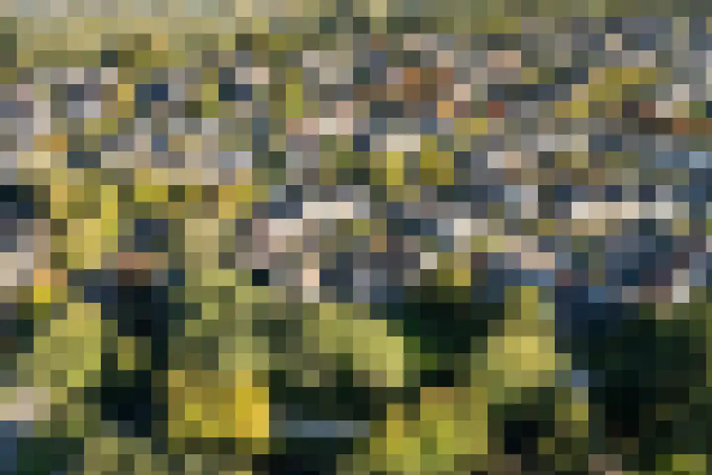 Sminiastate 2 Leeuwarden thumbnail 50