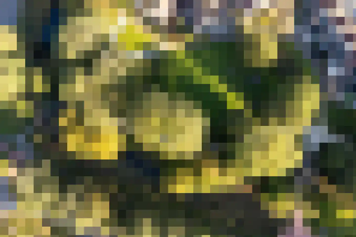 Sminiastate 2 Leeuwarden thumbnail 52