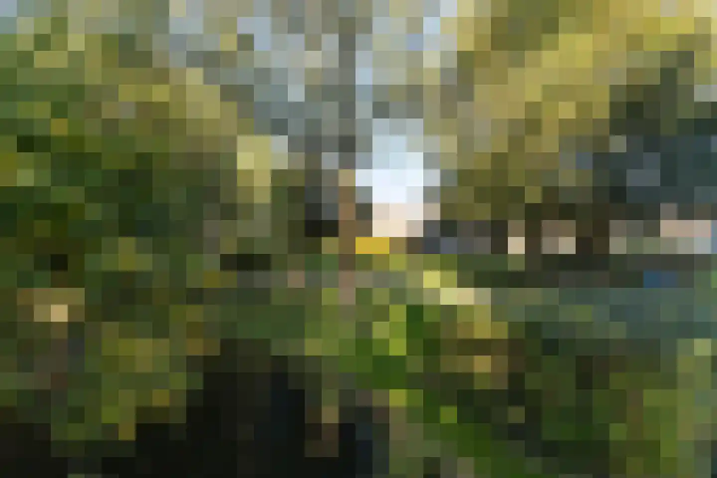 Sminiastate 2 Leeuwarden thumbnail 55