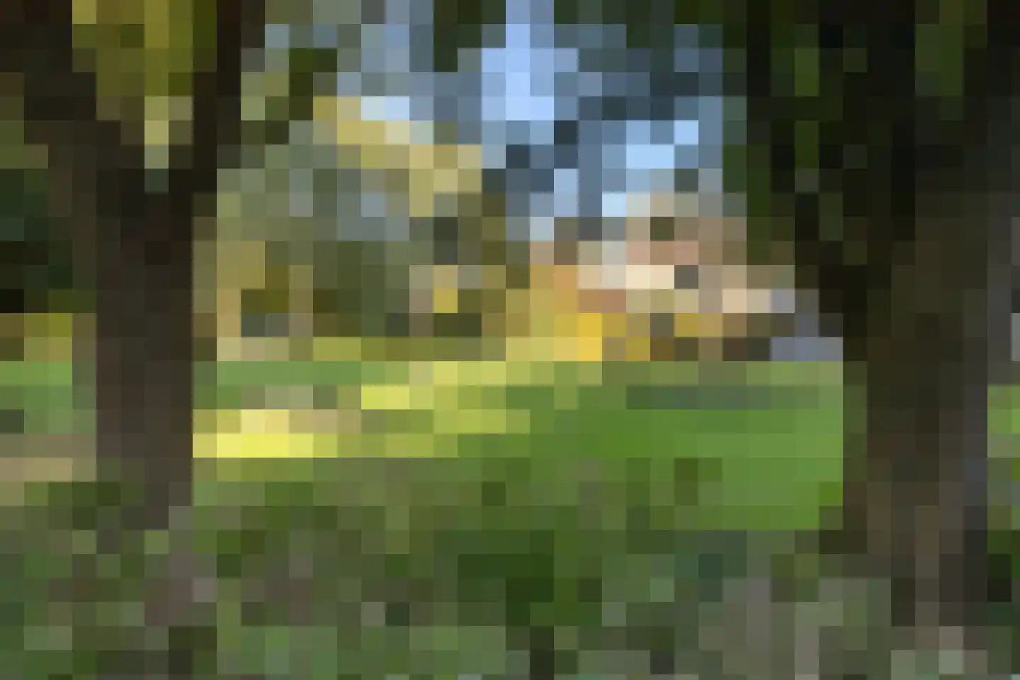 Sminiastate 2 Leeuwarden thumbnail 56