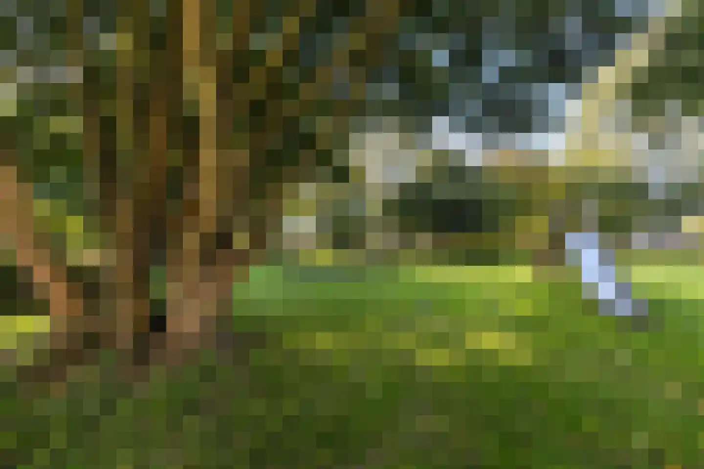 Sminiastate 2 Leeuwarden thumbnail 57