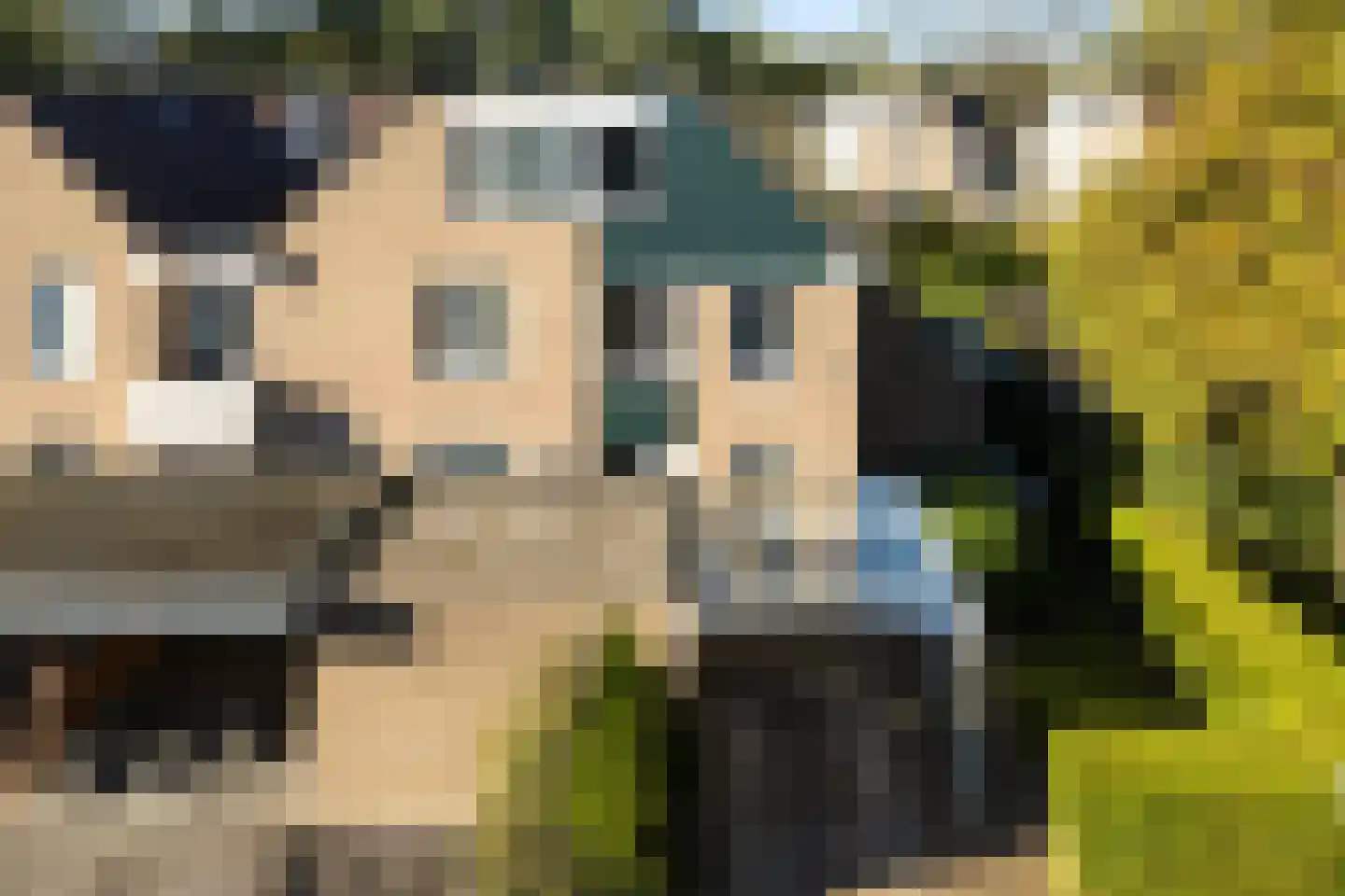 Sminiastate 2 Leeuwarden thumbnail 6