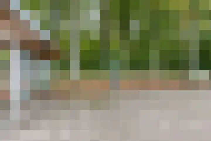 Sminkewei 7 76 Oudemirdum thumbnail 31