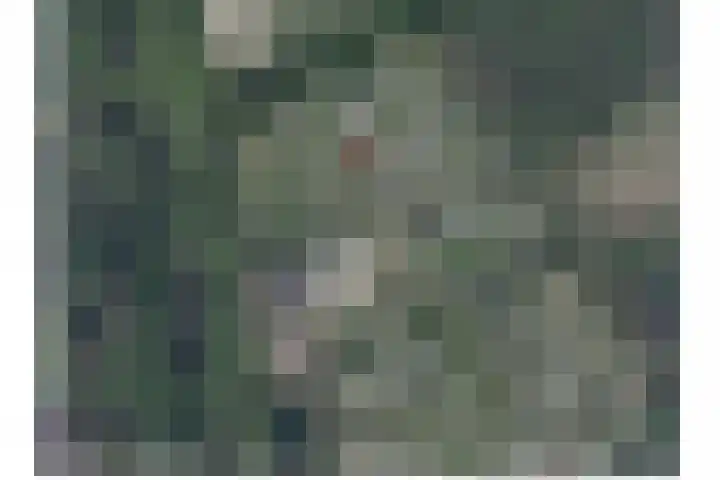 Sminkewei 7 76 Oudemirdum thumbnail 34