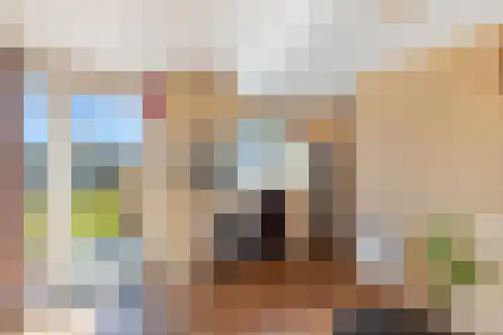 Sminkewei 7 76 Oudemirdum thumbnail 6