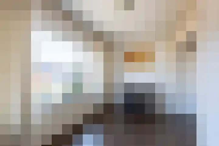 Smirnofflaan 4 Hoogerheide thumbnail 21