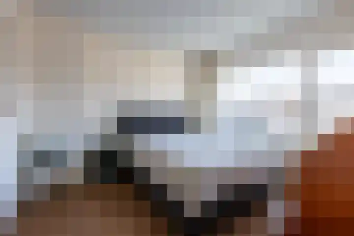 Smirnofflaan 4 Hoogerheide thumbnail 24
