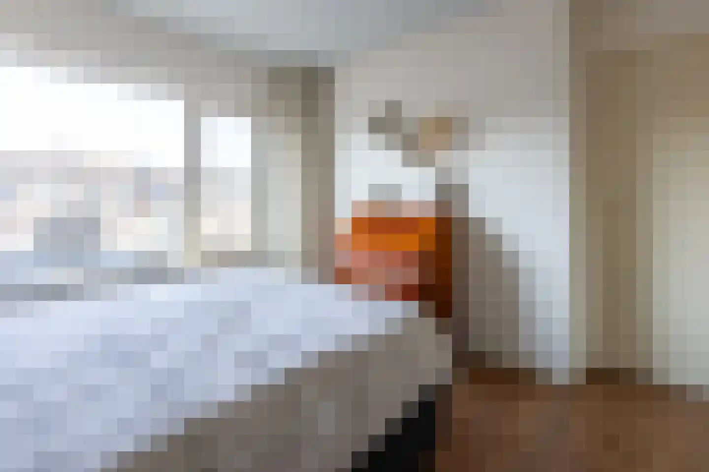 Smirnofflaan 4 Hoogerheide thumbnail 25