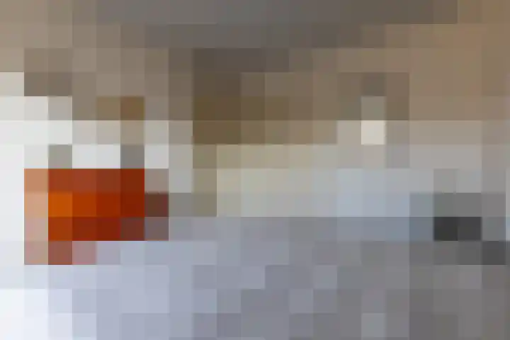 Smirnofflaan 4 Hoogerheide thumbnail 26