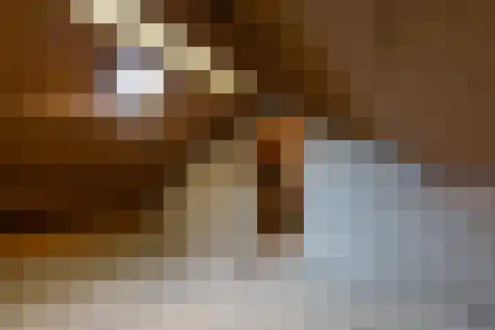 Smirnofflaan 4 Hoogerheide thumbnail 30