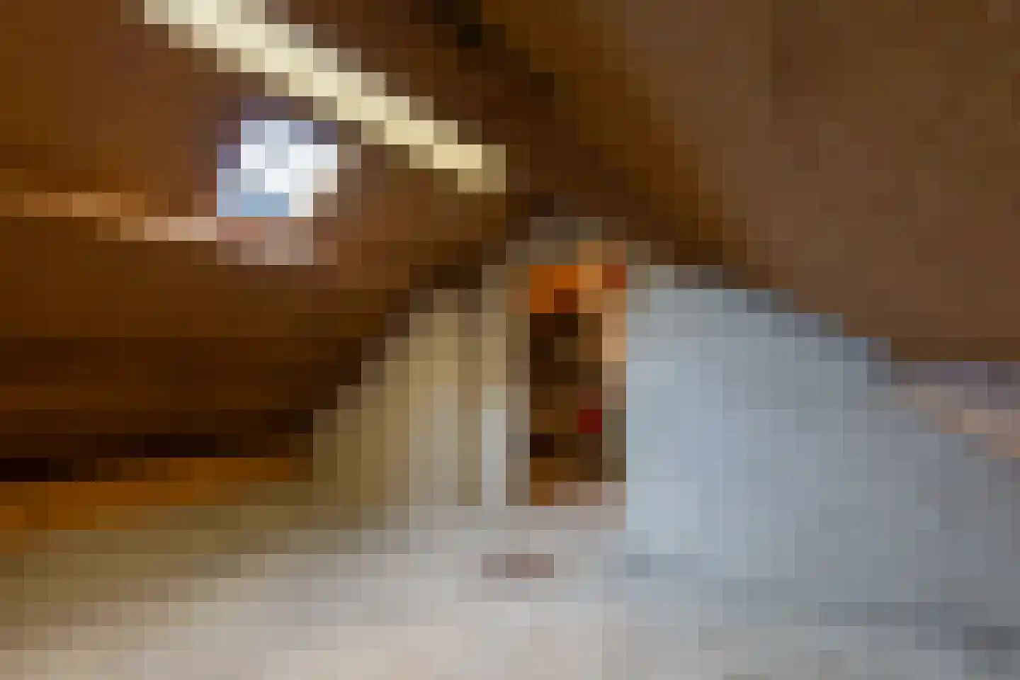 Smirnofflaan 4 Hoogerheide thumbnail 30
