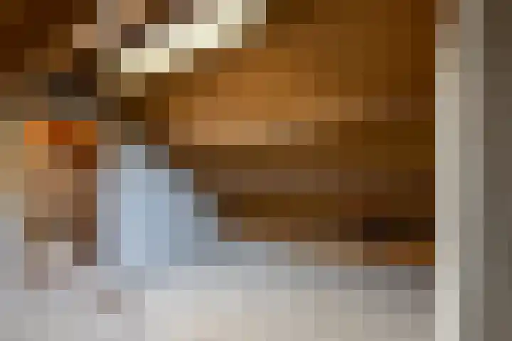 Smirnofflaan 4 Hoogerheide thumbnail 31