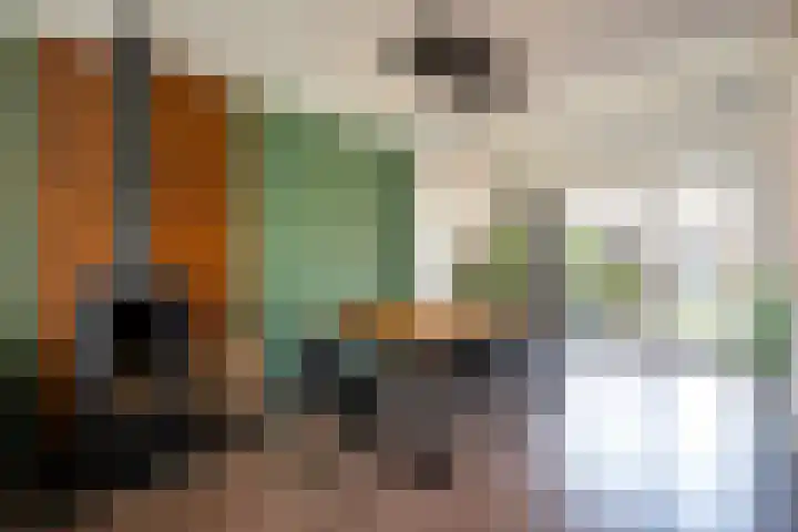 Smirnofflaan 6 Hoogerheide thumbnail 11