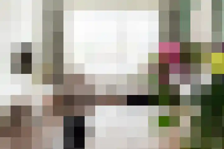 Smirnofflaan 6 Hoogerheide thumbnail 13