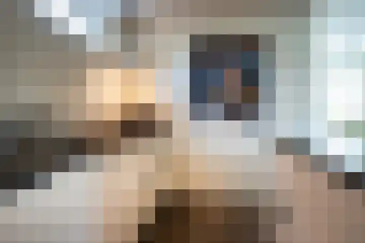 Smirnofflaan 6 Hoogerheide thumbnail 18