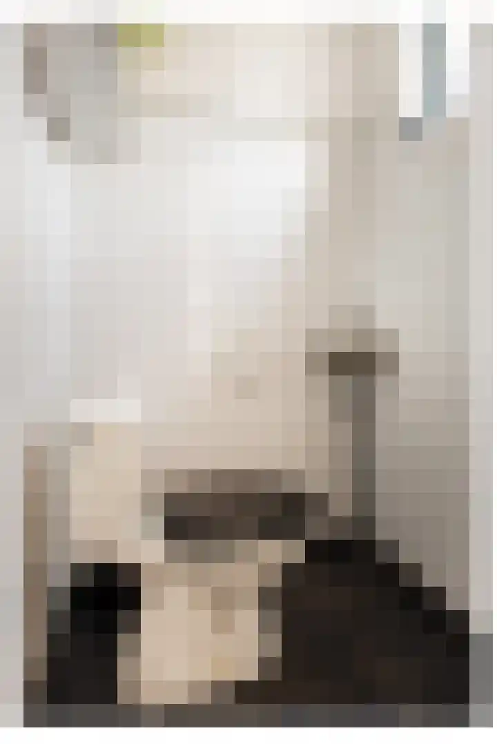 Smirnofflaan 6 Hoogerheide thumbnail 22