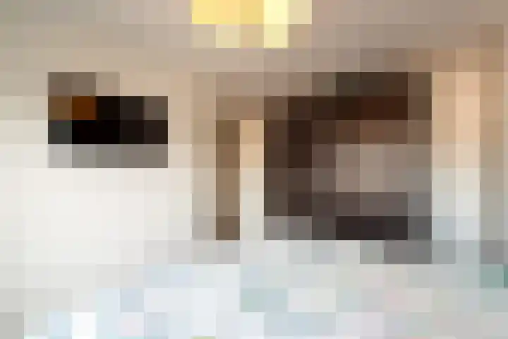 Smirnofflaan 6 Hoogerheide thumbnail 24