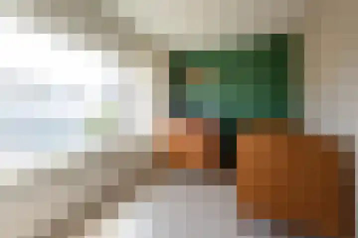 Smirnofflaan 6 Hoogerheide thumbnail 25