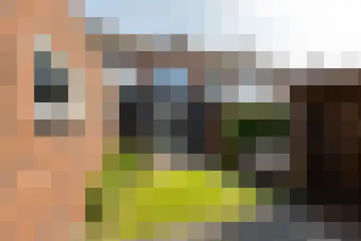 Smirnofflaan 6 Hoogerheide thumbnail 34