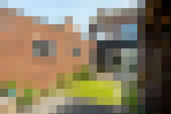 Smirnofflaan 6 Hoogerheide thumbnail 35